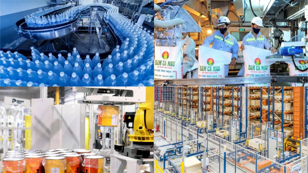 Một số lĩnh vực ứng dụng điển hình sử dụng giải pháp palletizing